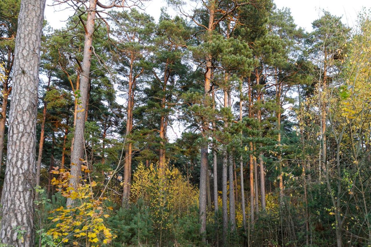 Lat4Rest Prienai Exterior foto